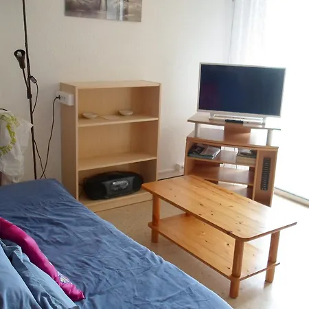 Avec Balcon, Parking, Clim Et Animaux Admis Proche Des Thermes - Fr-1-503-18 *
